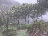 Recorrido Padul 04-2013 008